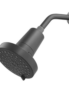 allen + roth Lillian Matte Black 4-Spray Filtered Fixed Shower Head